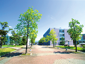 高岡法科大学
